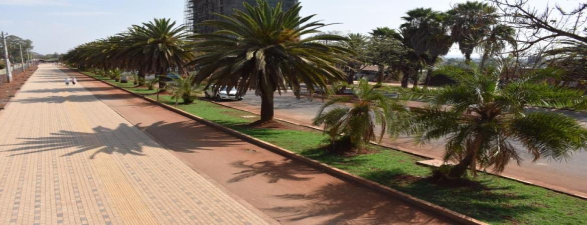 Bahir Dar Collider 